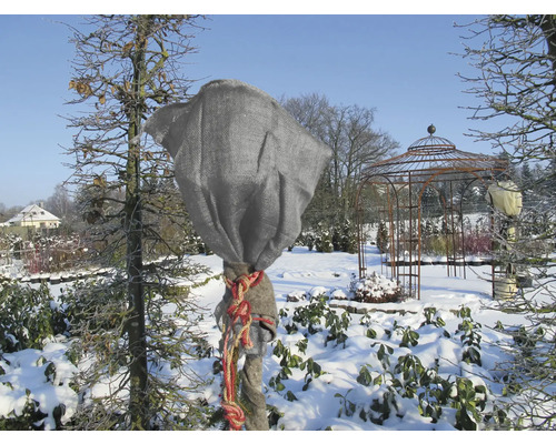 Winterlandschaft mit Baum, der mit Frostschutzvlies geschützt ist