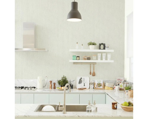 Helle Küche mit Spüle, Regalen und Dunstabzugshaube für ein übersichtliches Ambiente.