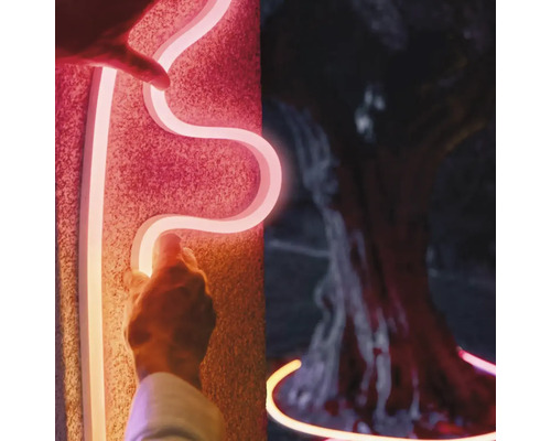 Neon Lichtschlauch wird an der Wand befestigt und um einen Baum gelegt.