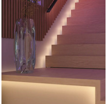 Dekorative Treppe mit indirekter Beleuchtung und einer Vase