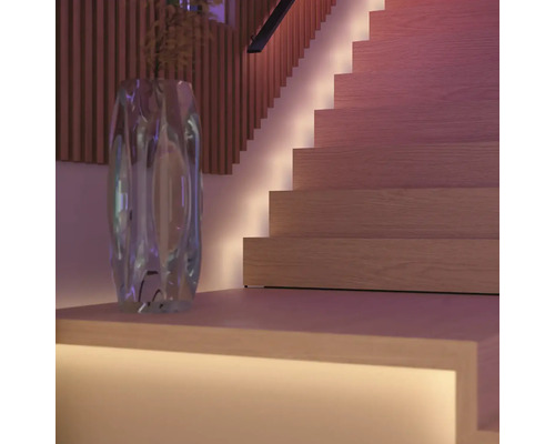 Dekorative Treppe mit indirekter Beleuchtung und einer Vase