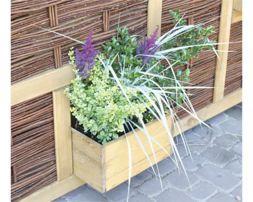 Holzkasten mit Pflanzen vor einem geflochtenen Zaun