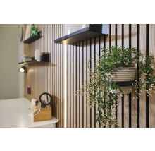 Helle Inneneinrichtung mit Wandpaneelen, Regalen und Topfpflanze