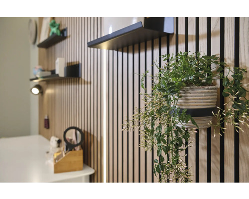 Helle Inneneinrichtung mit Wandpaneelen, Regalen und Topfpflanze