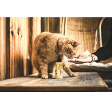 Katze leckt aus der Hand neben einer Flasche Ballistol Animal Tierpflegeöl