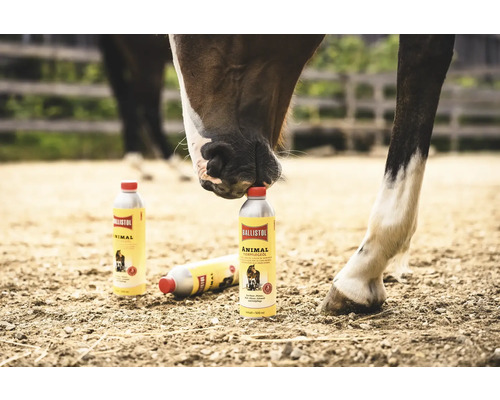 Pferd berührt Ballistol Tierpflegeöl Flasche mit der Nase
