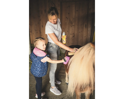 Frau und Mädchen pflegen ein Pony mit einer Bürste und einem Pflegespray.