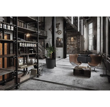 Loft-Wohnzimmer im Industriestil mit Regalen, Sitzgelegenheiten und Dekoration