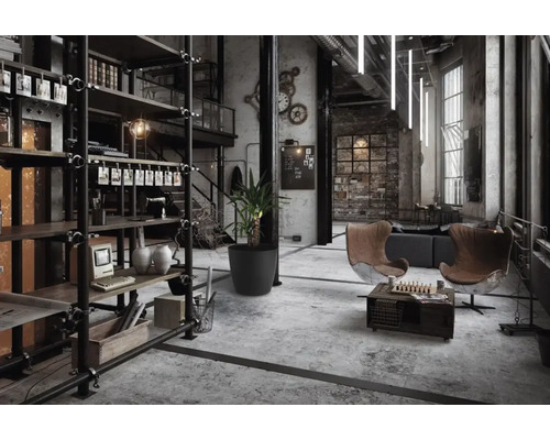 Loft-Wohnzimmer im Industriestil mit Regalen, Sitzgelegenheiten und Dekoration