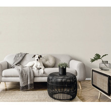 Helle Inneneinrichtung mit Sofa, Tisch, Zimmerpflanze und Hund