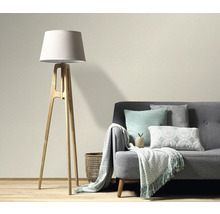 Wohnzimmer mit Stehlampe, Sofa, Kissen und Fleecedecke