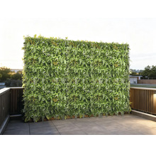 Große grüne Pflanzenwand auf einer Terrasse mit Fliesen