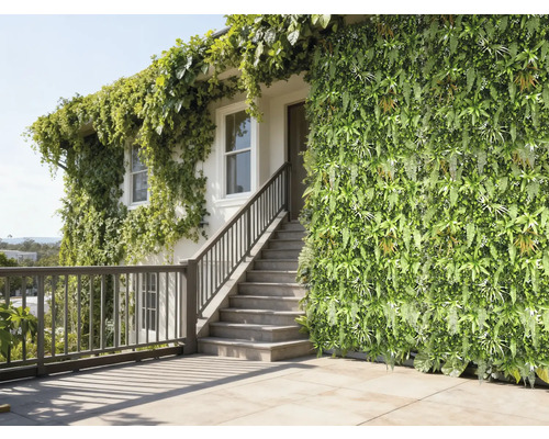 Hausfassade mit vertikalem Garten und Kletterpflanzen