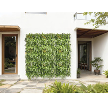 Dekorative grüne Pflanzenwand an einer Hausfassade für den Außenbereich.