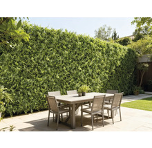 Outdoor-Szene mit Esstisch und begrünter Wand als Sichtschutz im Garten.