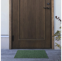 Eingangsbereich mit Holztür und grüner Fußmatte