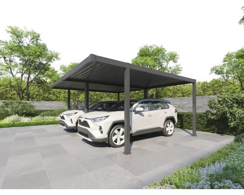 Doppelcarport mit zwei geparkten Autos