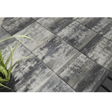 Verlegte Pflastersteine im Außenbereich mit dekorativer Pflanze