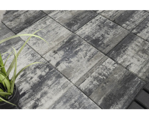 Verlegte Pflastersteine im Außenbereich mit dekorativer Pflanze