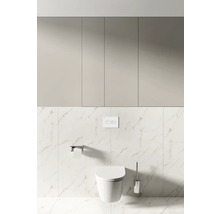 Modernes Badezimmer mit Hänge-WC, Betätigungsplatte, Toilettenpapierhalter, WC-Bürste und Badezimmerschrank