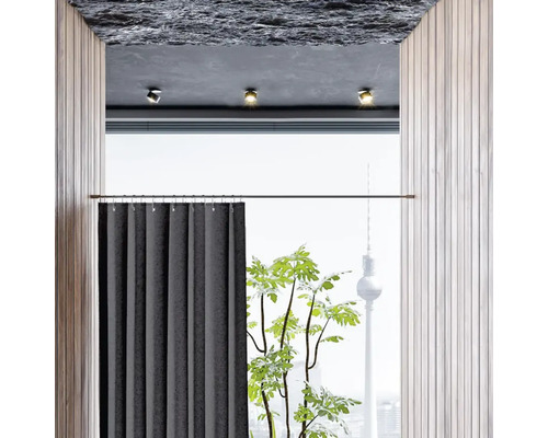 Innenraum mit Vorhang, Zimmerpflanze und Blick auf einen Fernsehturm