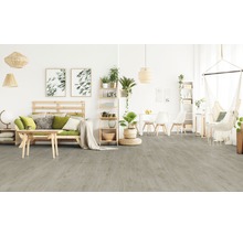 Heller Wohnraum mit Holzboden, Sofa, Tisch und Hängekorb