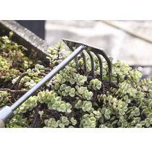 Gartenrechen zur Bodenbearbeitung zwischen Pflanzen