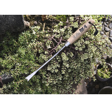 Unkrautstecher mit Holzgriff für Gartenarbeiten