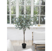 Künstlicher Eukalyptusbaum im Topf vor einem Fenster