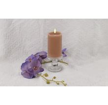 Dekorative Stumpenkerze auf Glasständer mit Orchideen