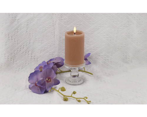 Dekorative Stumpenkerze auf Glasständer mit Orchideen
