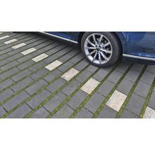 Rasengittersteine auf einer Einfahrt mit einem Teil eines Autos