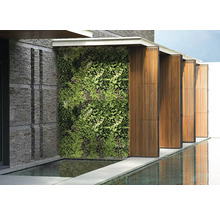 Außenansicht mit begrünter Wand, Steinmauer und Wasserspiegelung