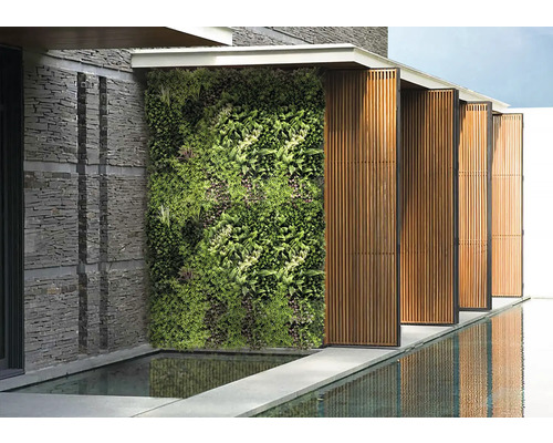 Außenansicht mit begrünter Wand, Steinmauer und Wasserspiegelung