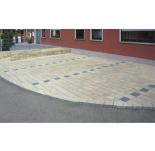 Gepflasterte Zufahrt mit rechteckigen Pflastersteinen