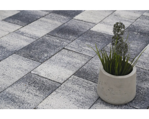 Verbundpflastersteine mit Pflanze im Topf