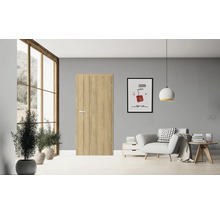 Helle Innentür in einem stilvoll eingerichteten Wohnraum