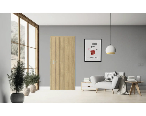 Helle Innentür in einem stilvoll eingerichteten Wohnraum