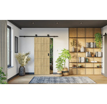 Innenraum mit Schiebetür aus Holz, Regal und Zimmerpflanzen