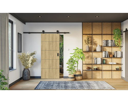 Innenraum mit Schiebetür aus Holz, Regal und Zimmerpflanzen