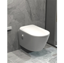 Wandhängendes WC in einem Badezimmer mit gefliester Wand