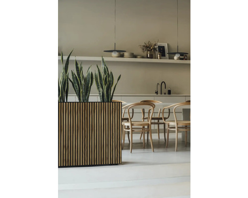 Helles Interieur mit Holztisch, Stühlen und Pflanzgefäß mit Grünpflanzen