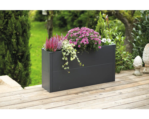 Rechteckiger Pflanzkasten aus Metall mit Herbstblumen auf einer Holzterrasse