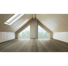 Ausgebauter Dachboden mit Holzverkleidung, Dachfenstern und Giebelfenstern.