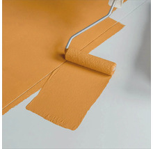 Farbroller beim Auftragen von Farbe