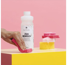 Miss Pompadour Reiniger mit Putzlappen und Schwämmen