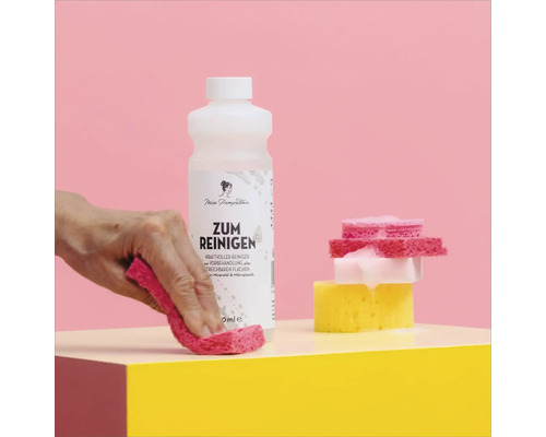 Miss Pompadour Reiniger mit Putzlappen und Schwämmen