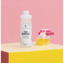 Miss Pompadour Reiniger mit Schwämmen