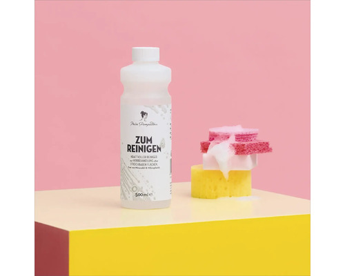Miss Pompadour Reiniger mit Schwämmen