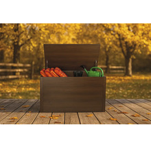 Geöffnete Gartenbox mit Gartenhandschuhen, Gießkanne und Pflanztopf